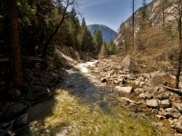pg26 pg26
