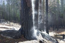 Evaporation