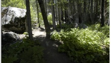 pg21