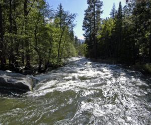 Kings River