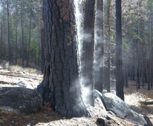 Evaporation