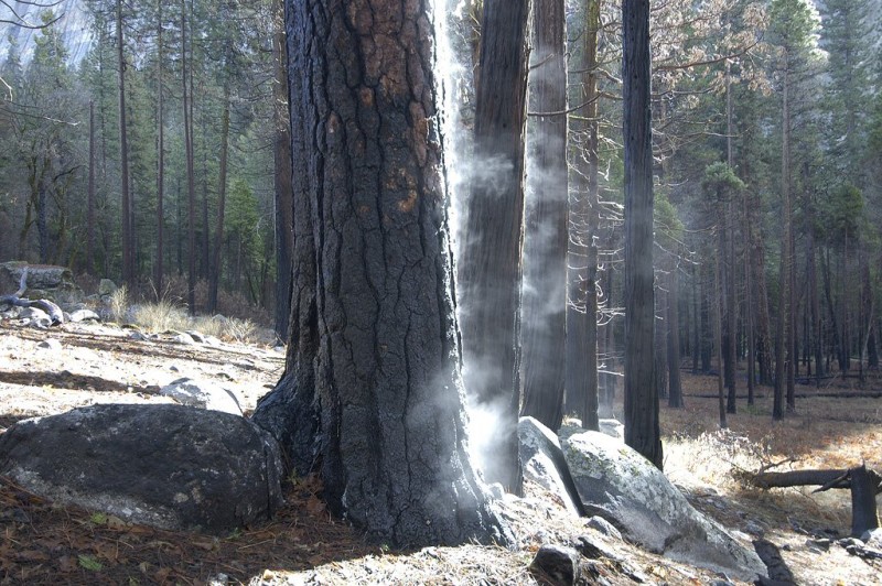 Evaporation ve-0001