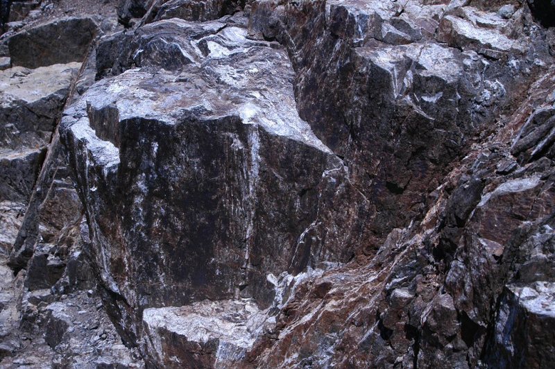 vn-0004