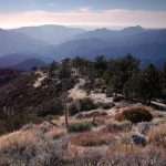 Upward Reach