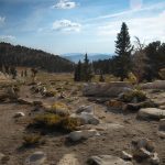 Sparse Desolation