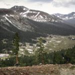 Dana Meadows