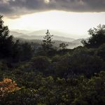 Imprint of Nature