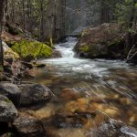 Waters of Life