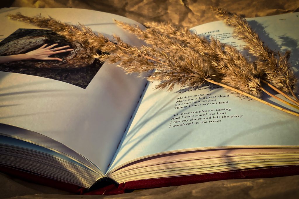 Book of Nature