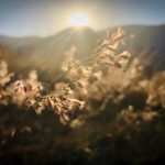 Theories of Existence