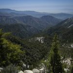 Gentle Canyon
