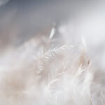Of Abstraction & Coherence