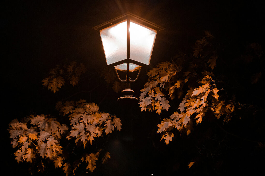 The Magician's Nephew