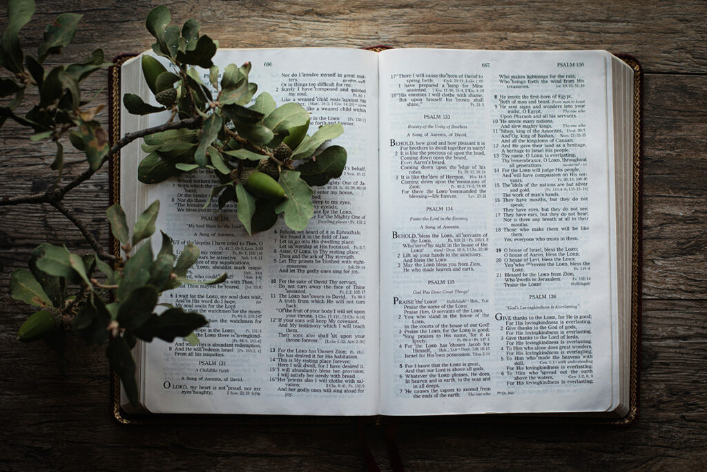 Second Reading: Holy Bible (ESV)