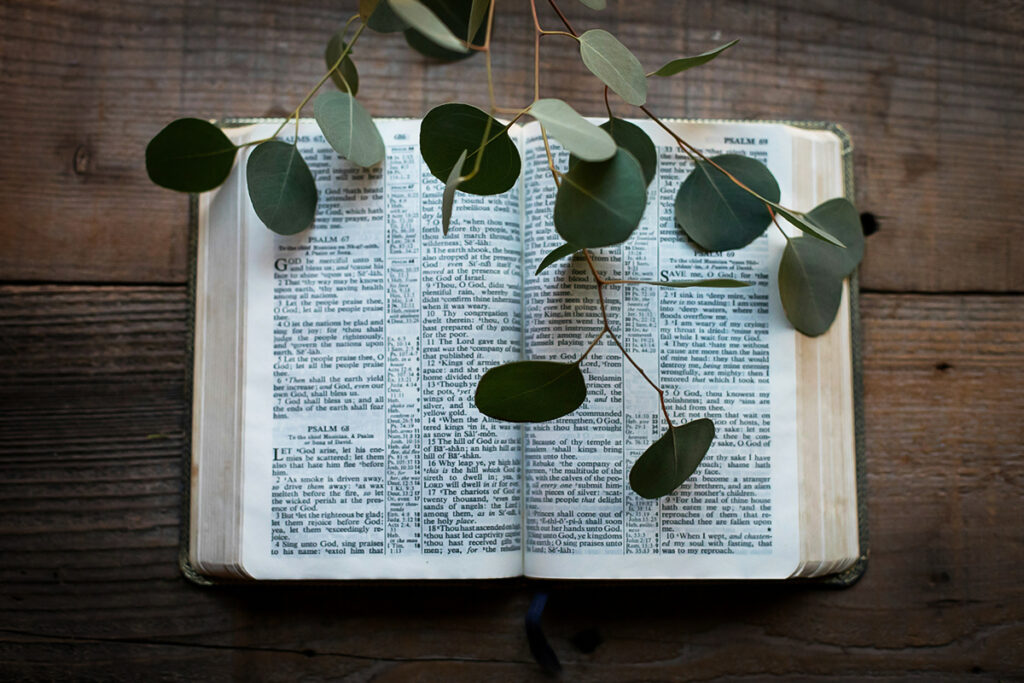 First Reading: Holy Bible (NASB)